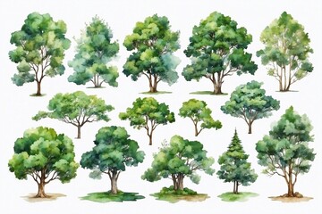 collection of detailed watercolor trees on white background, isolated trees for cards and illustrations