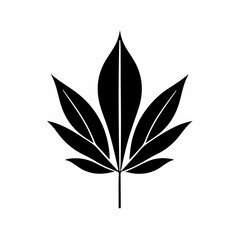 black and white leaf