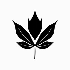 silhouette of a leaf