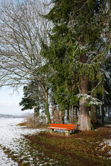 Empty bench in a forest with melting snow covered field, no people