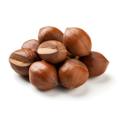 Fototapeta premium Sapucaia Nuts isolated on white background