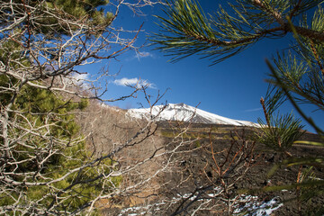 A view of snowy mountain Etna in Sicily through tree branches 