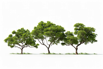 Obraz premium 3d illustration of four tree models with multiple branches