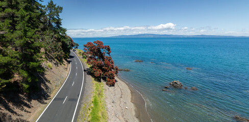 Aerial: Coastline road and flowering pohutukawa trees in Kerata, near Thames, Coromandel Peninsula, New Zealand.