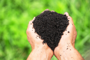 fertile soil in the hands of a farmer on a blurred background of a plantation