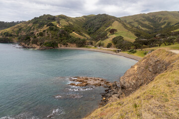 Fototapeta na wymiar Ocean foreshore in Port Jackson, Coromandel Peninsula, New Zealand.