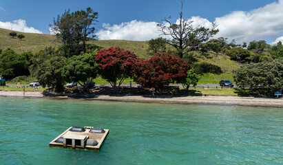 Aerial: Swimming pontoon for jumping off and turquoise water. Coromandel, Coromandel Peninsula, New Zealand.