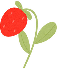 Strawberry red cute for Valentine's Day