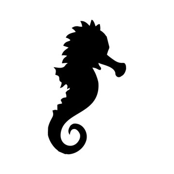 black seahorse silhouette in the sea