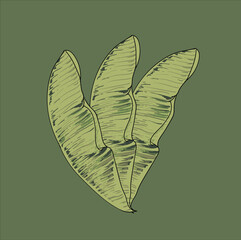 banana leaves