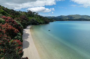 Obraz premium Aerial: Calm beach and coastline with pohutukawa trees. Wyuna Bay, Coromandel, Coromandel Peninsula, New Zealand.