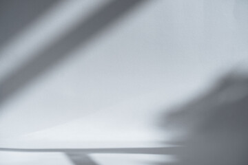 Nature tropical leaves plant and tree branch shade with sunlight on light white paper texture. Leaf and branch shadow and light on wall blur background.