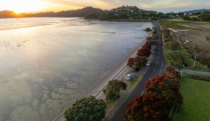 Aerial: Beach, low tide and flowering pohutukawa trees at sunset. Coromandel, Coromandel Peninsula,...