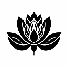 lotus flower vector