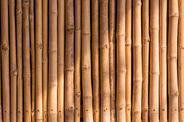 Naklejka premium bamboo background