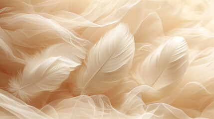 Elegant White Feathers Close-Up: Discover the Beauty and Softness of Delicate Feathers Amidst Layers of Flowing Fabric - Perfect for Art and Decoration