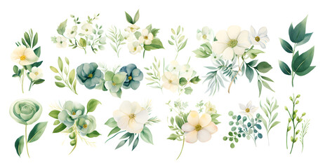 White flowers and green leaves watercolor collection isolated on white background