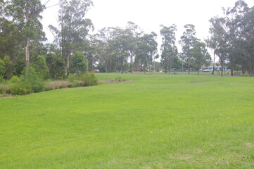 A fine view of the local park