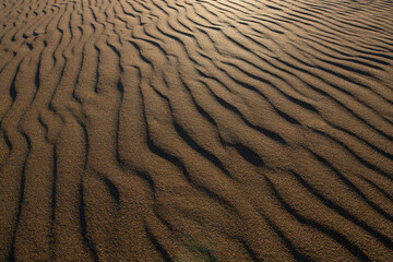 Beautiful sand waves or sand waves caused by the wind. Wind action constantly changes the height,...