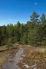 Fototapeta na wymiar Landscape view of nature trail at summer time, Lövö, Finland.