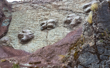 Dinosaur footprints
