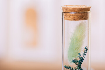 Macro view of verdant floral buds sealed within a glass jar, harmonizing with boho-inspired embellishments.