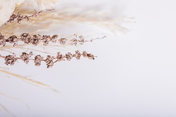 Boho-inspired backdrop with spring vibes, featuring delicate stems and dried flowers. Ideal for...
