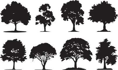 Fototapeta premium Set Trees. Hand drawn vector illustration