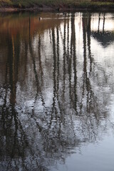 reflection in water