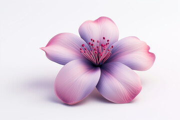 3D Flower Icon on White Background