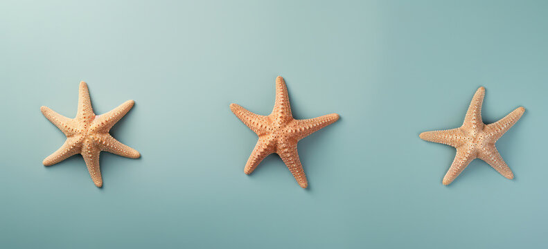 Tropical Serenity: Starfish and Shells Overhead, Laying on a White Sandy Beach with Ocean Waves in the Background