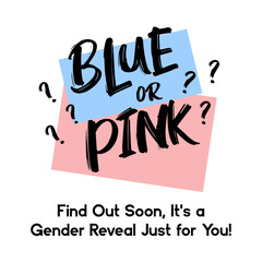 Сard template with a multi-colored inscription. Vector illustration for gender reveal party	