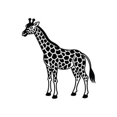 Giraffe graphic vector EPS