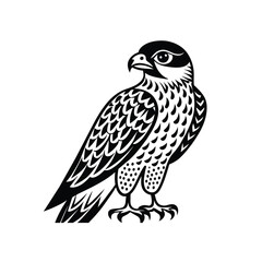 Hawk graphic vector EPS