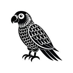 Parrot graphic vector EPS