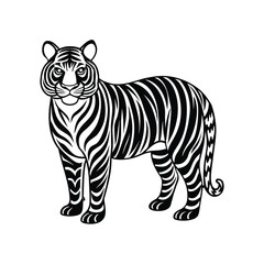 Tiger graphic vector EPS