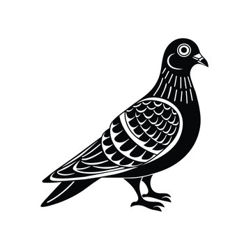 Pigeon graphic vector EPS