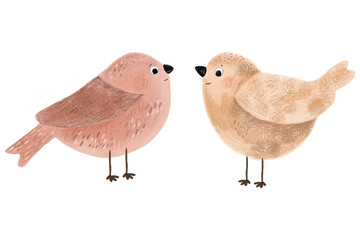 Children's illustration of the seth bird, drawn in pencil style. Birds isolated on a white background, in a childish style. For printing on postcards, dishes, baby food, fabrics.