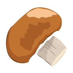 champignons, edible mushrooms and healthy food products