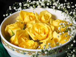 Yellow roses in white bowl on dark green