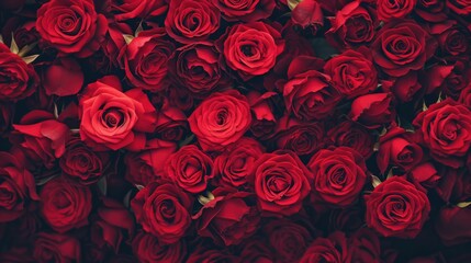 Valentine's Day exquisite tapestry of roses in a gradient of deep red to soft pink hues creates a rich, romantic background. a sense of luxury and elegance. Ai generated
