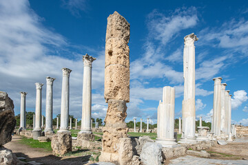 Columns and ruins in the ancient city of Salamis in Cyprus. Salamis Ruins, Famagusta, Turkish Republic of Northern Cyprus, CYPRUS. Tourist area of ​​the ruins of the city of Salamis. - obrazy, fototapety, plakaty
