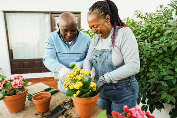 African senior couple preparing flowers plants at home garden outdoor - Joyful elderly lifestyle...