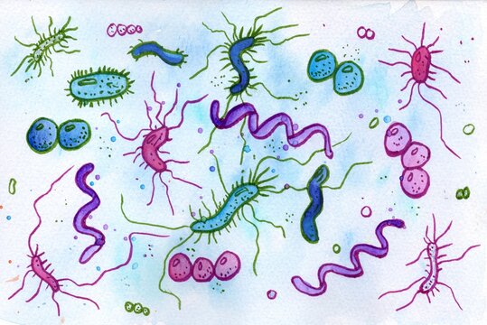 Vivid hand-drawn watercolor and marker illustration showcasing diverse bacteria shapes