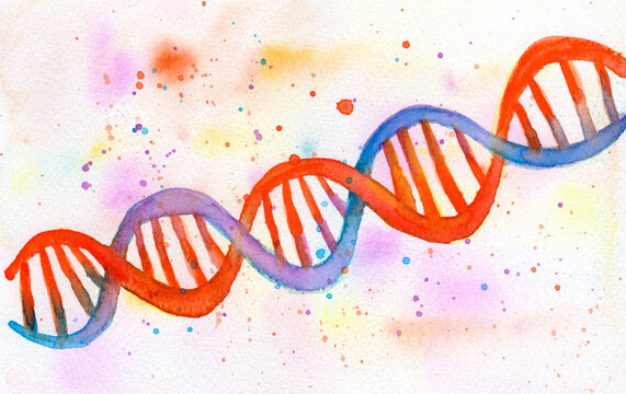 Molecule of DNA, illustration