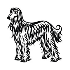 Afghan�Hound graphic vector EPS
