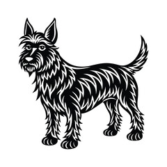 Berger�Picard graphic vector EPS