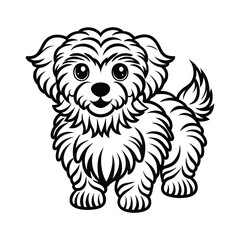 Bichon�Frise graphic vector EPS