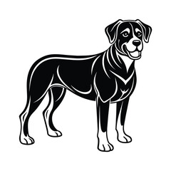 Fototapeta premium Rottweiler graphic vector EPS