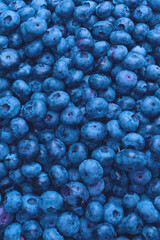 Fresh blueberry background. Texture blueberry berries close up.